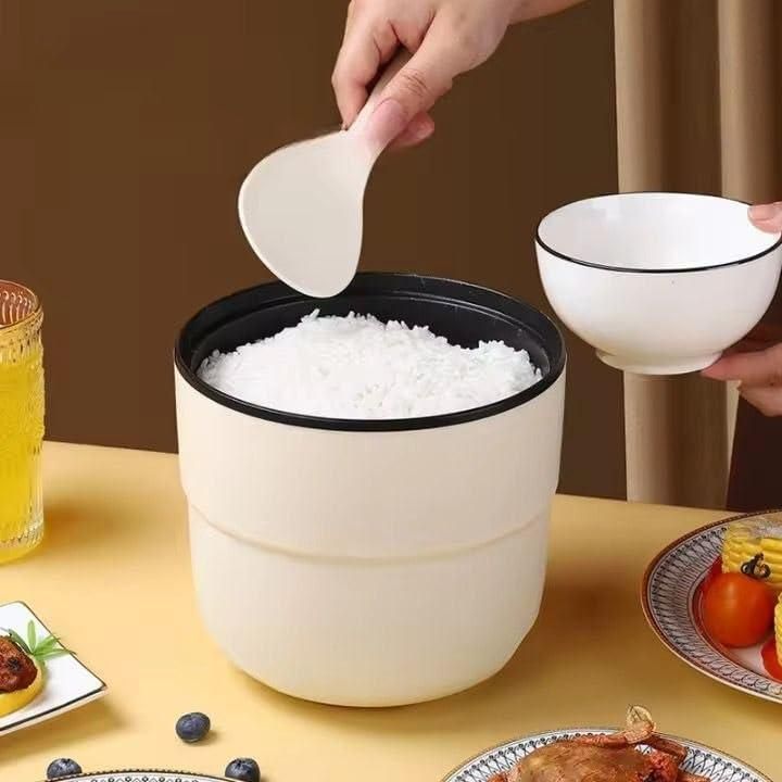 Electric Mini Cooking Pot| 4-in-1 Multi-Functional Cooker